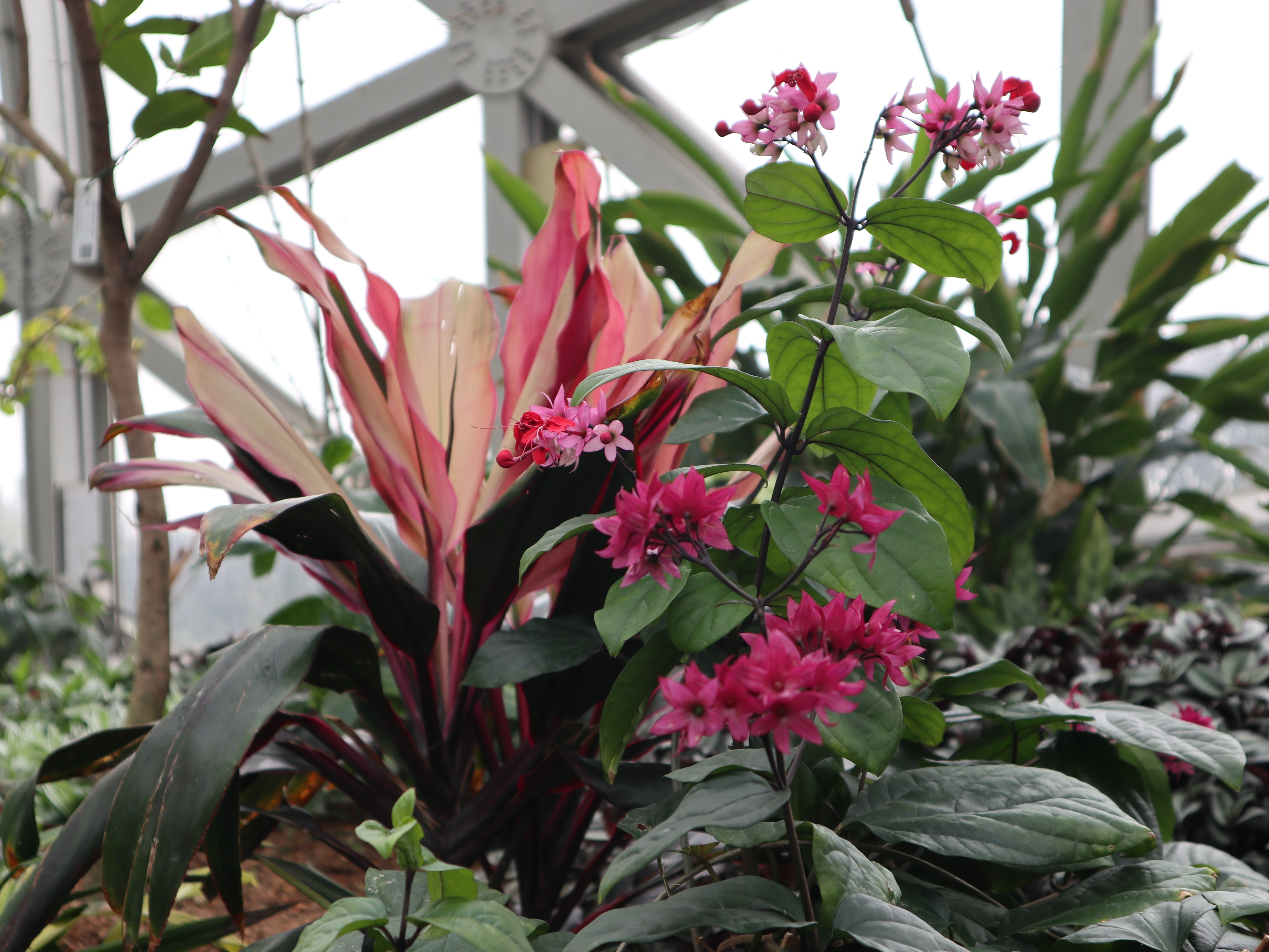 新聞 | 寶開(kāi)組織“相約春季，歡暢游園”三八節(jié)主題活動(dòng)